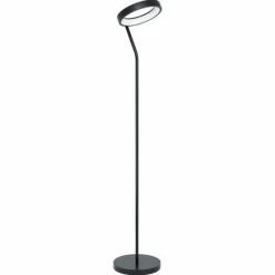Luminaires Eglo Lampadaire Eglo MARGHERA LED Noir, 1 lumière, Changeur de couleurs