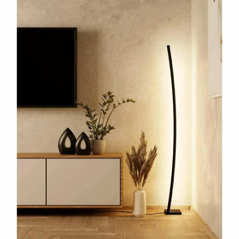 Luminaires Eglo Lampadaire Eglo-Leuchten PICACHA LED Noir, 1 lumière* Éclairage Led