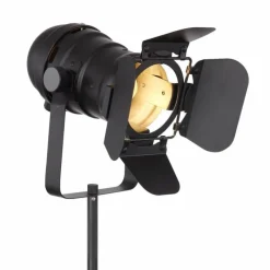 Lampes Industrielles-Luminaires Globo Lighting Lampadaire Globo EGON Noir, 1 lumière