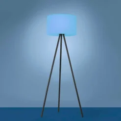 Luminaires Leuchten Direkt Lampadaire Leuchten Direkt HOLLY LED Noir, 1 lumière, Changeur de couleurs