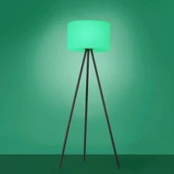 Luminaires Leuchten Direkt Lampadaire Leuchten Direkt HOLLY LED Noir, 1 lumière, Changeur de couleurs