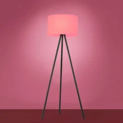 Luminaires Leuchten Direkt Lampadaire Leuchten Direkt HOLLY LED Noir, 1 lumière, Changeur de couleurs