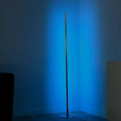 Luminaires Leuchten Direkt Lampadaire Leuchten-Direkt HENRY LED Acier brossé, 1 lumière, Télécommandes* Éclairage Led