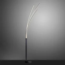 Luminaires Leuchten Direkt Lampadaire Leuchten-Direkt MAJA LED Noir, 1 lumière* Éclairage Led