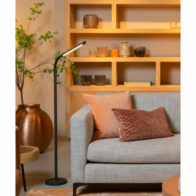 Luminaires Lucide Lampadaire Lucide GILLY LED Noir, 1 lumière* Éclairage Led