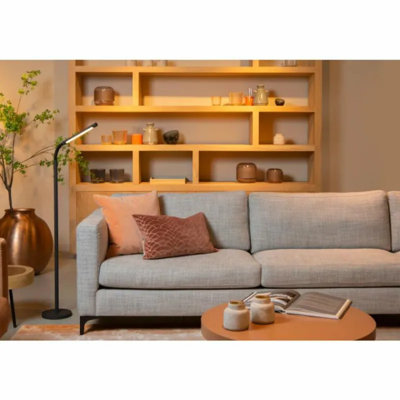 Luminaires Lucide Lampadaire Lucide GILLY LED Noir, 1 lumière* Éclairage Led