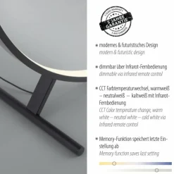 Luminaires Paul Neuhaus Lampadaire Paul Neuhaus HULA LED Noir, 1 lumière, Télécommandes* Éclairage Led