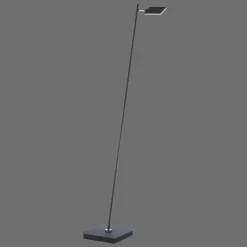 Luminaires Paul Neuhaus Lampadaire Paul Neuhaus PURE-MIRA LED Noir, 1 lumière, Télécommandes* Éclairage Led