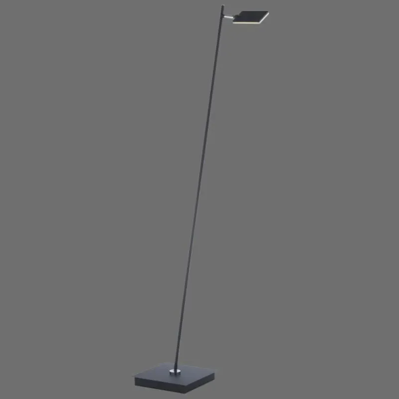 Luminaires Paul Neuhaus Lampadaire Paul Neuhaus PURE-MIRA LED Noir, 1 lumière, Télécommandes* Éclairage Led