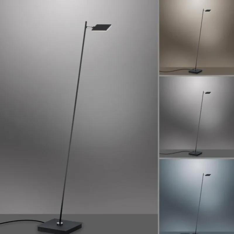 Luminaires Paul Neuhaus Lampadaire Paul Neuhaus PURE-MIRA LED Noir, 1 lumière, Télécommandes* Éclairage Led