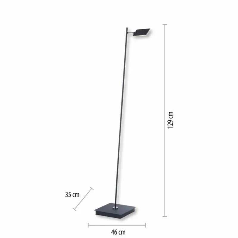 Luminaires Paul Neuhaus Lampadaire Paul Neuhaus PURE-MIRA LED Noir, 1 lumière, Télécommandes* Éclairage Led
