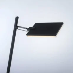 Luminaires Paul Neuhaus Lampadaire Paul Neuhaus PURE-MIRA LED Noir, 1 lumière, Télécommandes* Éclairage Led