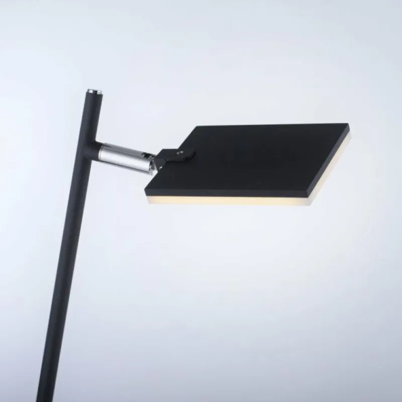 Luminaires Paul Neuhaus Lampadaire Paul Neuhaus PURE-MIRA LED Noir, 1 lumière, Télécommandes* Éclairage Led