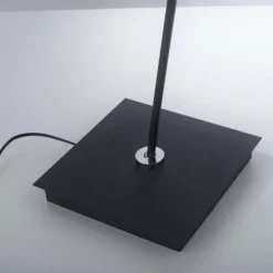 Luminaires Paul Neuhaus Lampadaire Paul Neuhaus PURE-MIRA LED Noir, 1 lumière, Télécommandes* Éclairage Led