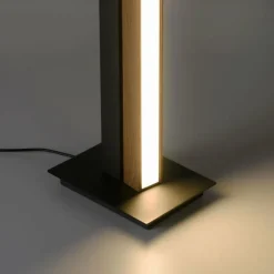 Lampes En Bois-Luminaires Paul Neuhaus Lampadaire Paul Neuhaus PURELINES LED Écru, 1 lumière, Télécommandes