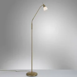 Luminaires Paul Neuhaus Lampadaire Paul Neuhaus PINO LED Vieux laiton, 1 lumière