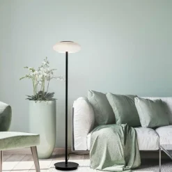 Paul Neuhaus Q-Serie Lampadaire Paul Neuhaus Q-ETIENNE LED Noir, 1 lumière, Télécommandes