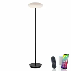 Paul Neuhaus Q-Serie Lampadaire Paul Neuhaus Q-ETIENNE LED Noir, 1 lumière, Télécommandes