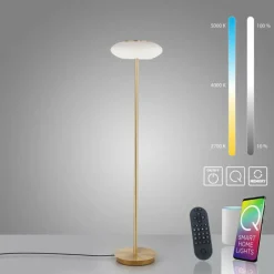 Paul Neuhaus Q-Serie Lampadaire Paul Neuhaus Q-ETIENNE LED Laiton, 1 lumière, Télécommandes