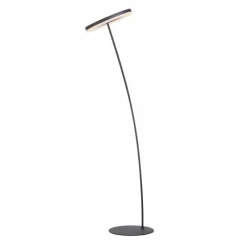 Luminaires Paul Neuhaus Lampadaire Paul-Neuhaus TITUS Anthracite, 1 lumière* Lampadaires Et Lampes Sur Pied