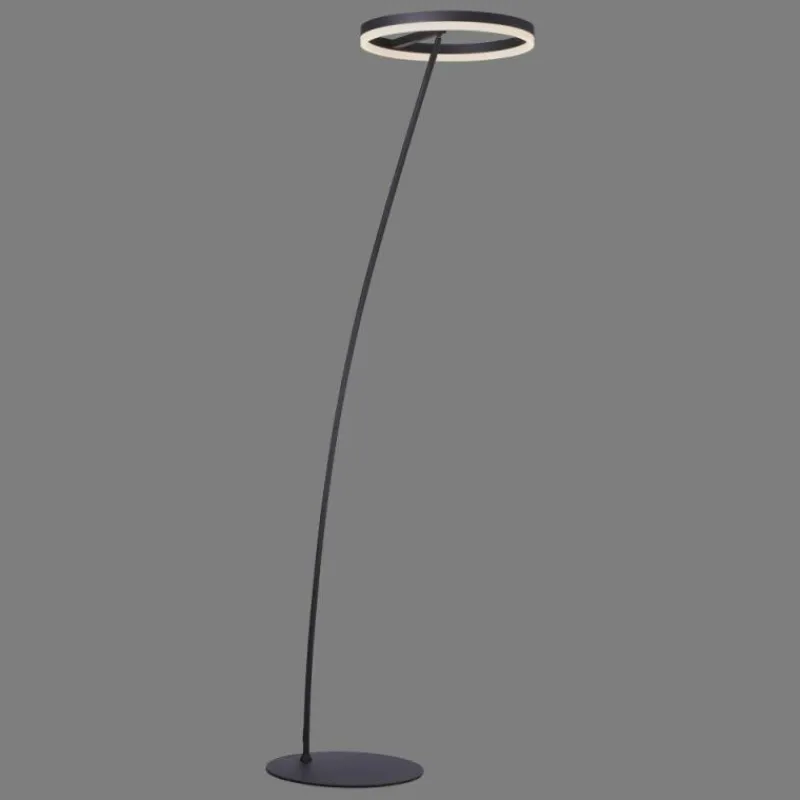 Luminaires Paul Neuhaus Lampadaire Paul-Neuhaus TITUS Anthracite, 1 lumière* Lampadaires Et Lampes Sur Pied
