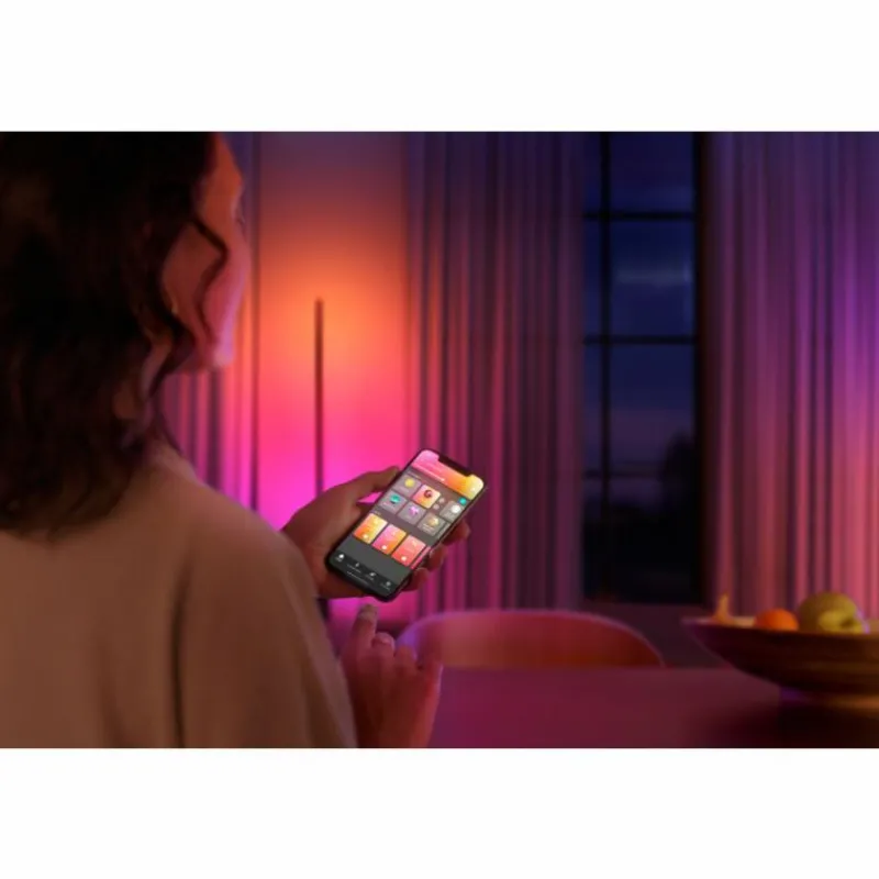 Luminaires Philips Lampadaire Philips Hue Signe LED Noir, 1 lumière, Changeur de couleurs