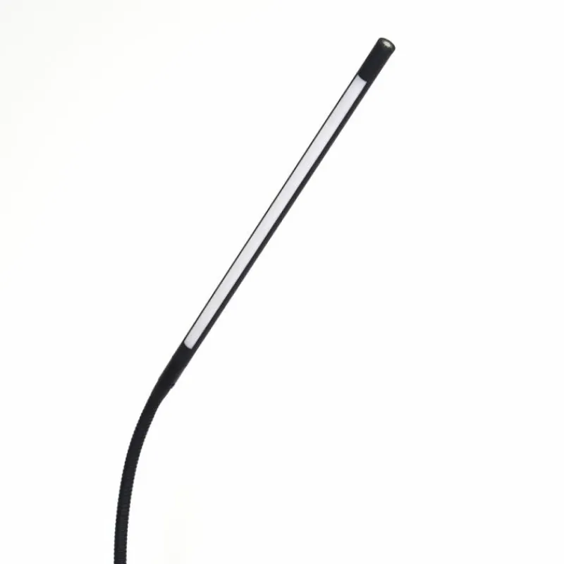 hofstein Lampadaire Reuland LED Noir, 1 lumière