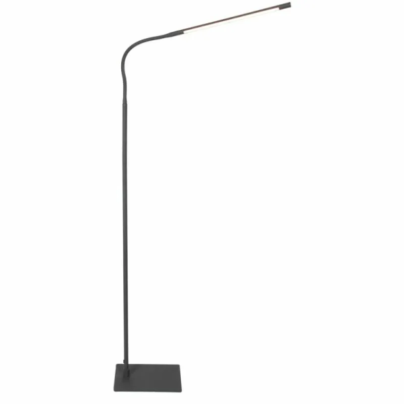 Luminaires Steinhauer Lampadaire Steinhauer Serpent LED Noir, 1 lumière* Éclairage Led