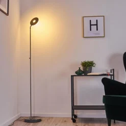 hofstein Lampadaire Umag LED Acier inoxydable, 1 lumière
