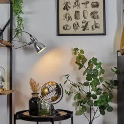 Lampes Industrielles-hofstein lampe â clipper Brienz Chrome, 1 lumière