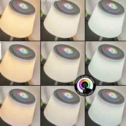 hofstein Lampe à poser Burzaco LED Anthracite, 1 lumière, Changeur de couleurs