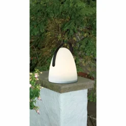 Luminaires Eglo Lampe à poser Eglo COLLIRADOS LED Noir, 2 lumières