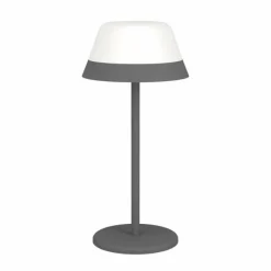Luminaires Eglo Lampe à poser Eglo MEGGIANO LED Gris, 2 lumières