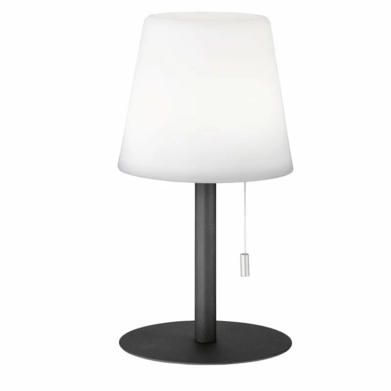 FHL easy Lampe à poser FHL-easy Garden LED Anthracite, 1 lumière, Changeur de couleurs