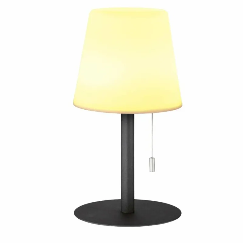 FHL easy Lampe à poser FHL-easy Garden LED Anthracite, 1 lumière, Changeur de couleurs