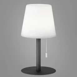 FHL easy Lampe à poser FHL-easy Garden LED Anthracite, 1 lumière, Changeur de couleurs