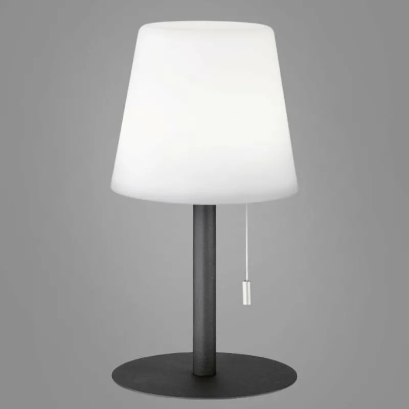 FHL easy Lampe à poser FHL-easy Garden LED Anthracite, 1 lumière, Changeur de couleurs