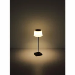 Luminaires Globo Lighting Lampe à poser Globo GREGOIR LED Noir, 1 lumière