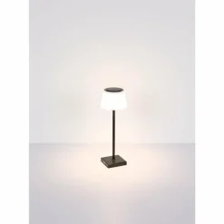 Luminaires Globo Lighting Lampe à poser Globo GREGOIR LED Noir, 1 lumière