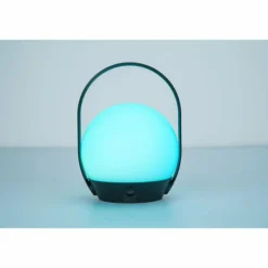 Luminaires Lutec Lampe à poser Lutec Cardi LED Noir, Blanc, 1 lumière, Changeur de couleurs