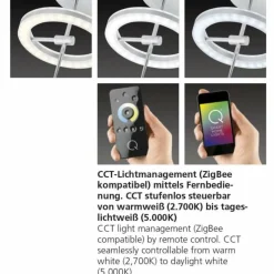 Paul Neuhaus Q-Serie Lampe à poser Paul Neuhaus Q-AMY LED Acier inoxydable, 2 lumières, Télécommandes