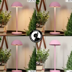 hofstein Lampe à poser Pelaro LED Rose, 1 lumière