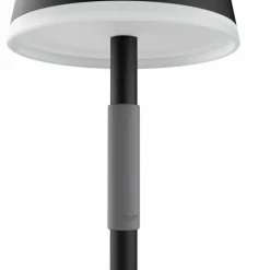 Luminaires Philips Lampe à poser Philips Hue Go LED Gris, Noir, 1 lumière, Changeur de couleurs