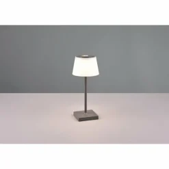 Luminaires Reality Lampe à poser Reality Sanchez LED Anthracite, 1 lumière, Changeur de couleurs