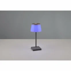 Luminaires Reality Lampe à poser Reality Sanchez LED Anthracite, 1 lumière, Changeur de couleurs