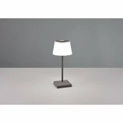 Luminaires Reality Lampe à poser Reality Sanchez LED Anthracite, 1 lumière, Changeur de couleurs