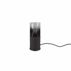 Luminaires Trio Lampe à poser Trio Leuchten ROBIN Noir, 1 lumière