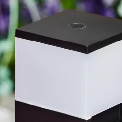 hofstein lampe à prise électrique Papacal LED Noir, 1 lumière