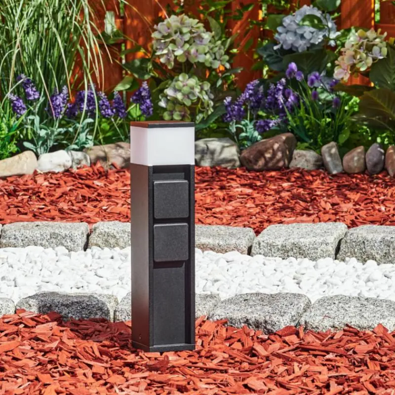 hofstein lampe à prise électrique Papacal LED Noir, 1 lumière