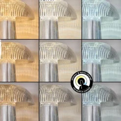 hofstein Lampe Champignon Balsa Lampe à poser LED Transparent, 1 lumière